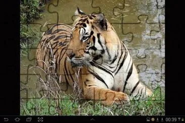 big cat 9 jigsaw puzzle