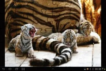 big cat 10 jigsaw puzzle
