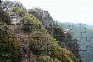 Appalachian Trail jigsaw puzzle