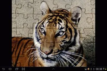big cat 11 jigsaw puzzle