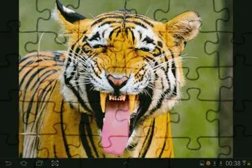 big cat 12 jigsaw puzzle