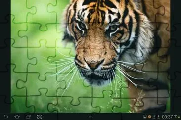 big cat 14 jigsaw puzzle