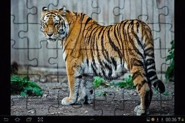 big cat 15 jigsaw puzzle