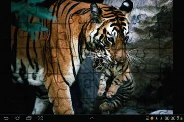 big cat 16 jigsaw puzzle