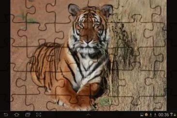 big cat 17 jigsaw puzzle