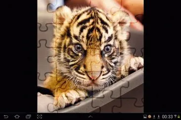 big cat 20 jigsaw puzzle