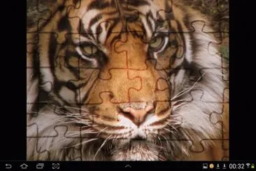 big cat 23 jigsaw puzzle