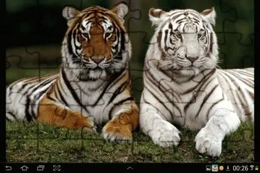 big cat 24 jigsaw puzzle