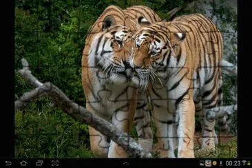 big cat 26 jigsaw puzzle
