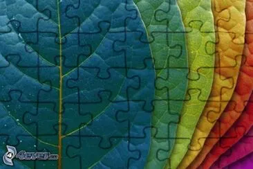 foto jigsaw puzzle