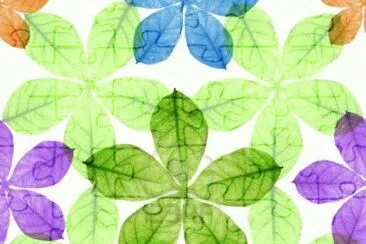 foto jigsaw puzzle