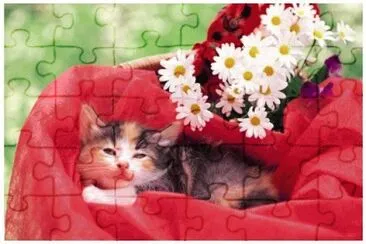 image jigsaw puzzle