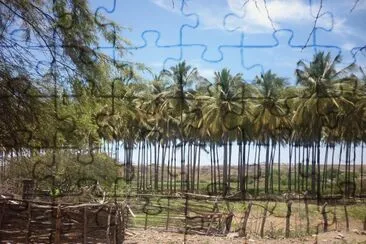 Zapotillo jigsaw puzzle