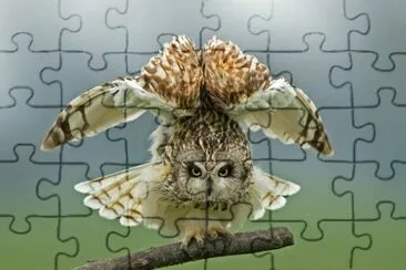 . jigsaw puzzle