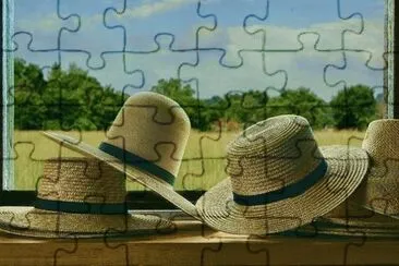 פאזל של hats