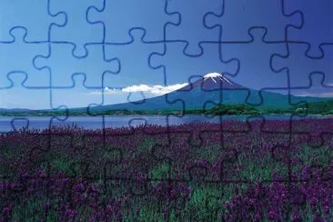 fields, flowers and Fuji jigsaw puzzle