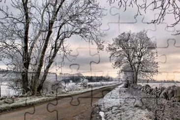 frosty lane