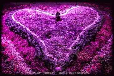 פאזל של Electric Forest Festival-Photography Art