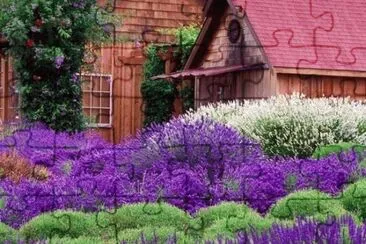 Cabin Surrounded by Purple Flowers