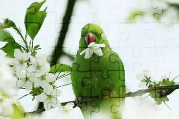 . jigsaw puzzle