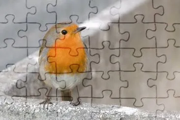 (Petti)rosso di sera jigsaw puzzle