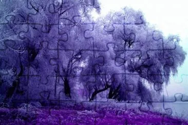 Purple Feathery Trees-Art