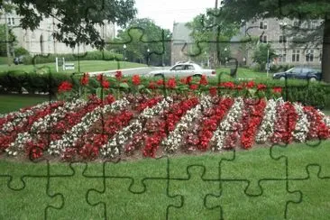 JARDINES WASHINTONG. jigsaw puzzle