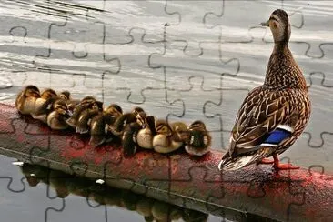 mom #97 jigsaw puzzle