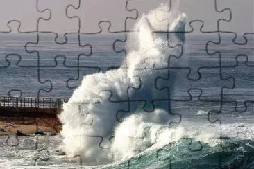 cat wave jigsaw puzzle