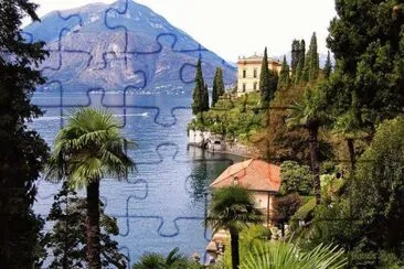 (156) jigsaw puzzle