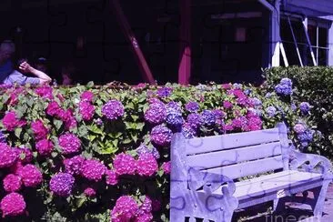 Purple Garden Bench jigsaw puzzle