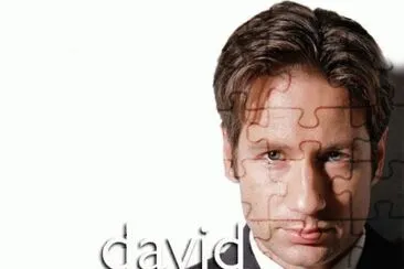 MULDER