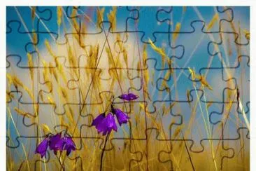 image jigsaw puzzle