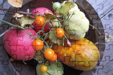 end of summer veggies