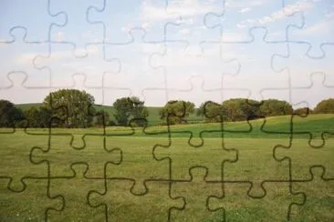 dog days of summer jigsaw puzzle