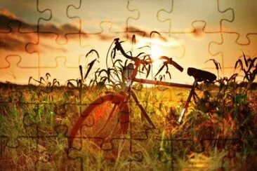 dog days of summer jigsaw puzzle