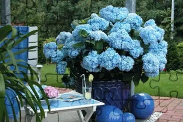 summer blues