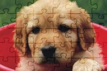 gosset jigsaw puzzle
