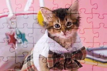 ternura jigsaw puzzle