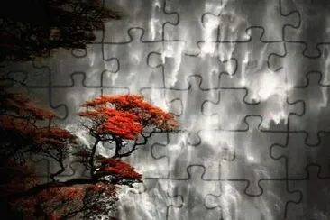 cenÃ¡rio jigsaw puzzle