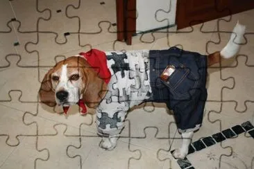 paco baquero jigsaw puzzle