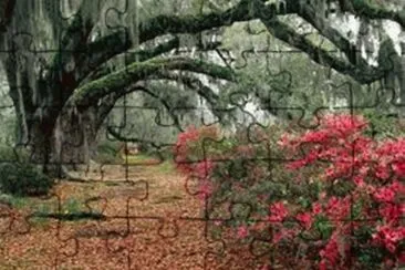 paisaje36 jigsaw puzzle