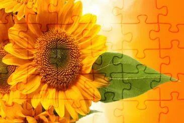 tfb jigsaw puzzle