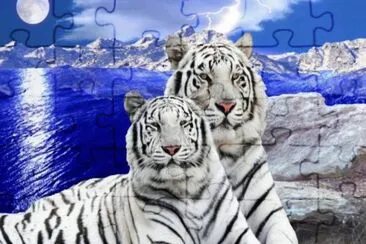 ztdb jigsaw puzzle