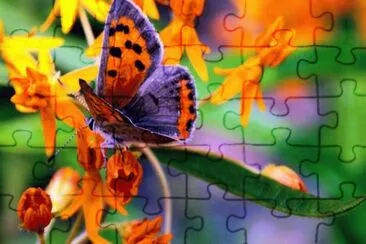 Ã¶ouimh jigsaw puzzle