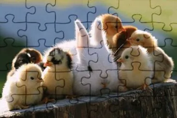 . jigsaw puzzle