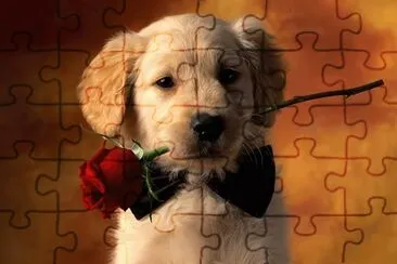 variados jigsaw puzzle