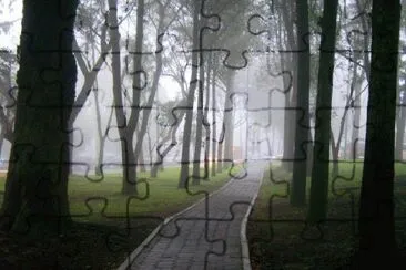 sendero de niebla