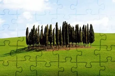 copse Italy