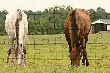 Grazing jigsaw puzzle